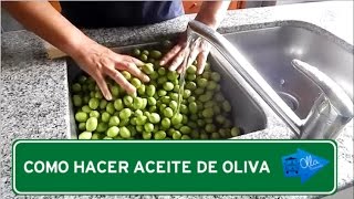 Como Hacer Aceite de Oliva  Olla Itinerante [upl. by Aynatan179]