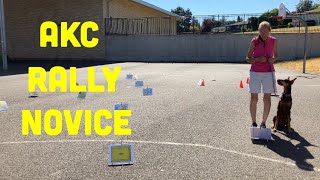 AKC Rally Novice Explained and Demonstrated [upl. by Jamille]