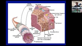 Endothelial Function and Cardiovascular Disease [upl. by Attelrak]