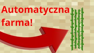 Automatyczna farma trzciny cukrowej w Minecraft Minecraft odc 73 [upl. by Crissie754]