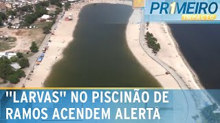 RJ Bichos parecidos com larvas são encontrados no Piscinão de Ramos  Primeiro Impacto 120124 [upl. by Ttocserp]