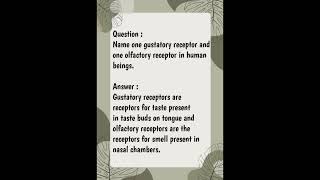 Name one gustatory receptor and one olfactory receptor in human beings [upl. by Hcab]