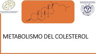 Metabolismo del colesterol [upl. by Enitsirhc]