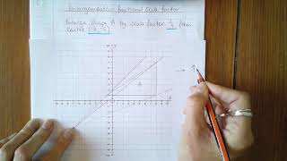 Enlargement  fractional scale factor [upl. by Mandelbaum955]