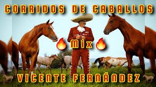 🔥MIX VICENTE FERNANDEZ🔥 CORRIDOS DE CABALLOS 🏇 🐎 🐴 [upl. by Siurtemed]