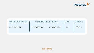 Naturgy  Como leer tu factura [upl. by Bysshe812]