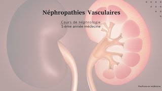 Néphropathies Vasculaires nephro [upl. by Puduns859]