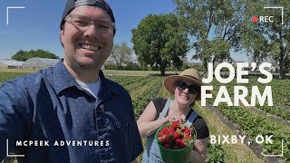 Things To Do In Oklahoma  Strawberry picking at Joe’s Farm [upl. by Eiduam520]