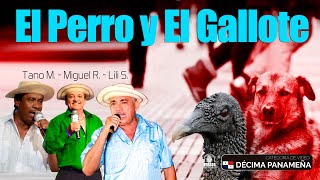 Tano Mojica vs Lily Samaniego vs Miguelito Rivera N° 65 EL PERRO Y EL GALLOTE [upl. by Ahsiym]