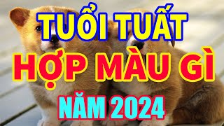 Tuổi Tuất hợp màu gì năm 2024 mang lại may mắn tài lộc mauhoptuoituat tuoituat2024 tuvituoituat [upl. by Eiznyl]