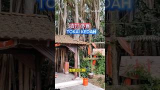 吉打多皆 TOKAI KEDAH 马来西亚 吉打 [upl. by Putnem]