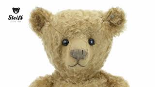 Steiff 1905 PAB 43 Teddy Bear Replica 403507 [upl. by Divan]