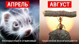 КАКОЙ ТЫ ЗВЕРЬ ПО ДАТЕ РОЖДЕНИЯ [upl. by Nnylsoj]