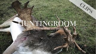 Abnormer starker Damhirsch erlegt  HUNTINGROOM Clips 6 [upl. by Akerahs918]