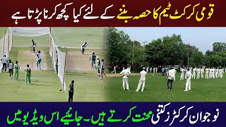 Cricket Trial in Pakistan Trail Information  PCB Under 19 Trials Information Pakistan Cricket [upl. by Sadira]