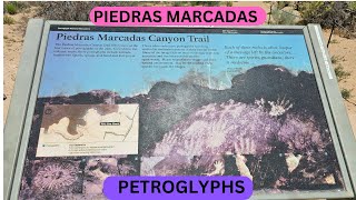 Piedras Marcadas Petroglyphs Canyon Fieldtrip [upl. by Adalia]