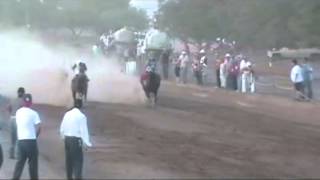 carrera de caballo en sahuarita tucson arizona [upl. by Patnode713]