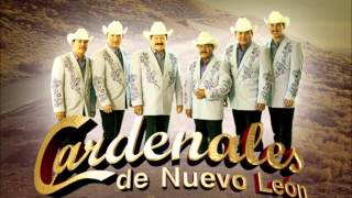 Los Cardenales de Nuevo Leon 2014 [upl. by Arbba]