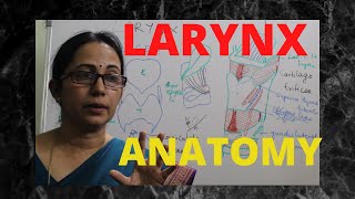 056Larynx Anatomy Part 12 anatomylectures larynx voice [upl. by Archle41]