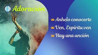 ANHELO CONOCERTE ESPIRITU SANTO [upl. by Merritt]