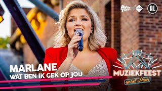 Marlane  Wat ben ik gek op jou • Muziekfeest op het Plein 2022  Sterren NL [upl. by Seligman259]