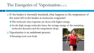 125 Vaporization amp Vapor Pressure [upl. by Hamon]