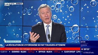 Philippe Boucly France Hydrogène La révolution de lhydrogène verte se fait toujours attendre [upl. by Ataliah188]