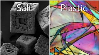 14 common objects under a microscope [upl. by Ahsilahs]