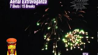 Aerial Extravaganza  Fireworks [upl. by Twitt582]