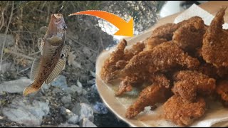 Grundeln angeln am Rhein Plage wird zum Mittagessen  Rhein Catch and Cook Ep 1 [upl. by Lorola]