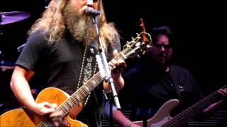 Jamey Johnson Dixieland Delight [upl. by Pasco]