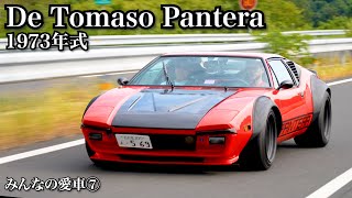 【みんなの愛車⑦ デ・トマソ・パンテーラ】うっかり購入！？スーパーカーの歴史を作った1台！ [upl. by Wiltsey]