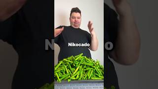 Nikocado Avocado Lied To Us All [upl. by Nowad]