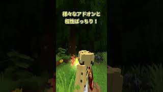 【アドオン紹介】新しく公開された無料カメラアドオンが良すぎる【マイクラ】 [upl. by Ambrosine]