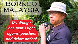 Dr Wong And The Amazing Sun Bears  Borneo 2024 [upl. by Ladnek421]