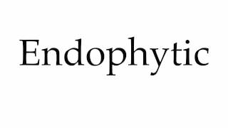 How to Pronounce Endophytic [upl. by Wallach612]