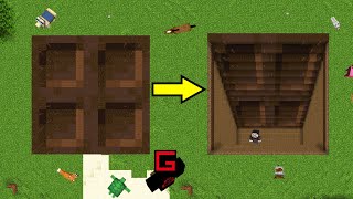 I made a Minecraft Trap Door Trap Door [upl. by Hsilgne]