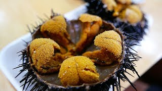 Japanese Street Food  GIANT SEA URCHIN Uni Sashimi Japan Seafood [upl. by Lilllie]