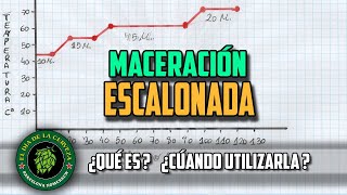 MACERACIÓN ESCALONADA Cómo hacer cerveza artesanal en casa [upl. by Westfahl]