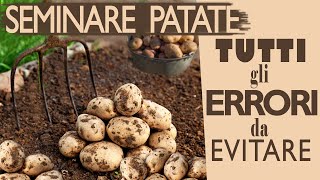 SEMINARE le PATATE  Tutti gli ERRORI da EVITARE [upl. by Dranoel]