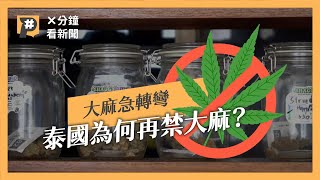 泰國大麻觀光化台灣客是主力之一 開放2年為何重下禁令？｜公視P 新聞實驗室 [upl. by Akined930]