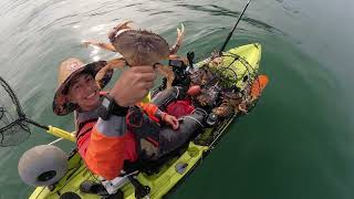 2023 Dungeness Crab Season Opener Kayak Crabbing Limit in 45 Minutes Shot on GoPro 12 Max Lens Mod [upl. by Pownall]