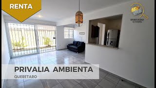 DEPARTAMENTO EN RENTA EN PRIVALIA QUERETARO PLANTA BAJA  8000  INFO ⬇️ [upl. by Nired943]