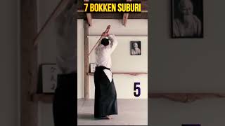 Aikido 7 Bokken Suburi aikido shorts [upl. by Adalheid]