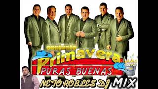 CONJUNTO PRIMAVERA MIX puras buenas ByNeto Robles Dj [upl. by Rehpotsirahc]