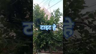 टाइट हेjambibcockfunny wather Jaychhattisgarhvlogs sorts [upl. by Iorgo]