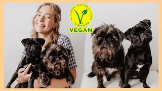 Wir kochen veganes Hundefutter  Veganes Hundefutter selber machen 🐶🥦 [upl. by Nilsoj]