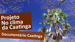 Documentário Caatinga [upl. by Maurizio]