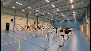 Champion taekwondo klubb Gradering vårtermin 2021 [upl. by Aifos]