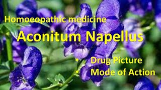 Aconitum Napellus for fears anxiety and restlessness  Homeopathy 👍 shortsviral [upl. by Emilee]